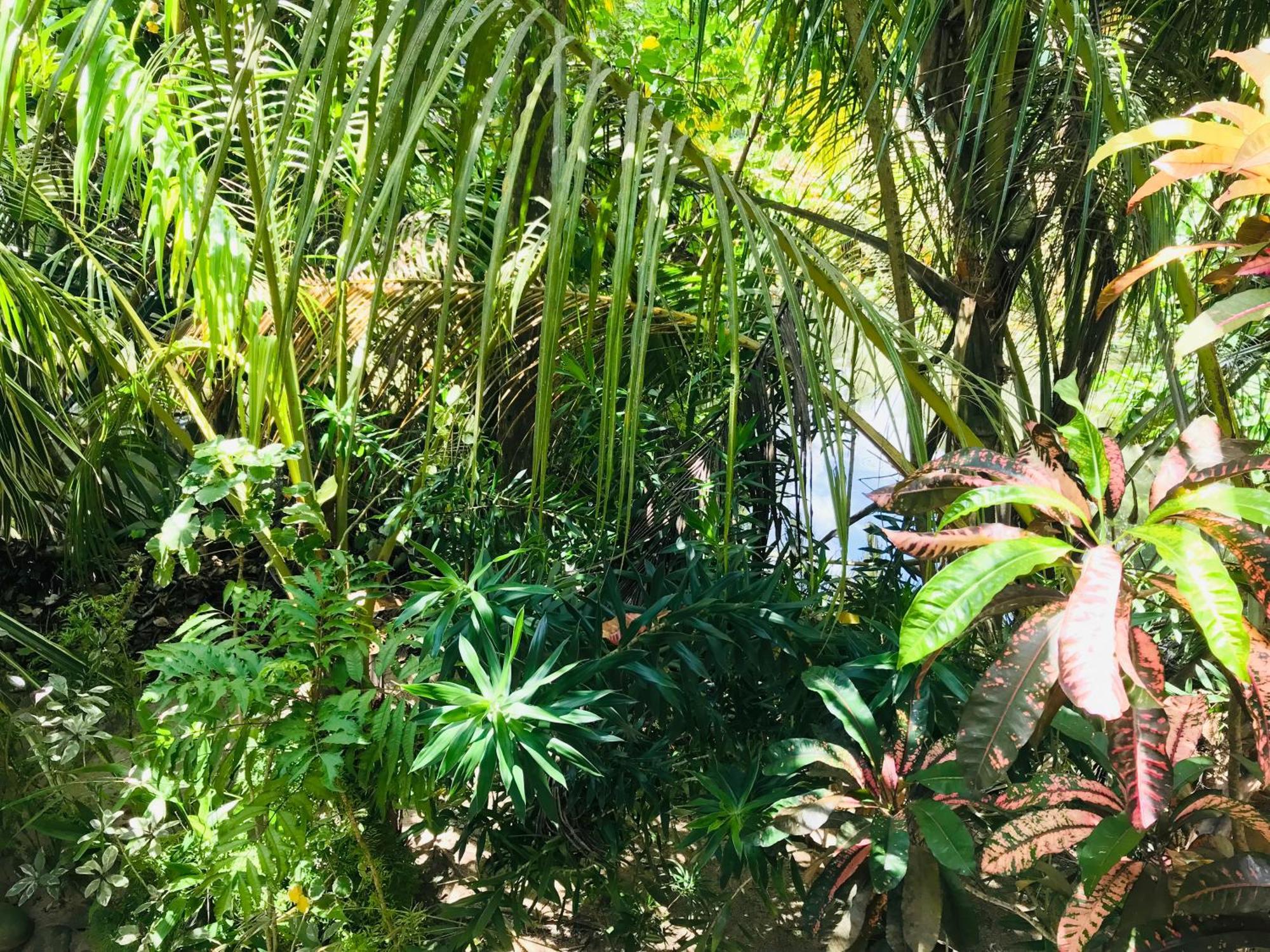 Flora And Fauna ミリッサ エクステリア 写真